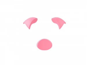 pig face 3D Model