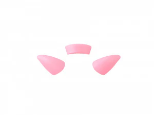 pig face 3D Model