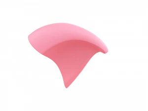 pig face 3D Model
