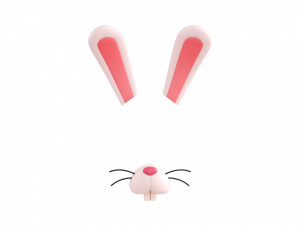 rabbit face Modèle 3D