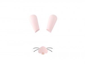 rabbit face Modèle 3D