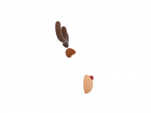 deer face 3D मॉडल