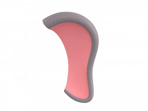 elephant face 3D Model