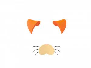 cara de gato Modelo 3D