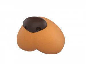 faccia di cane Modello 3D