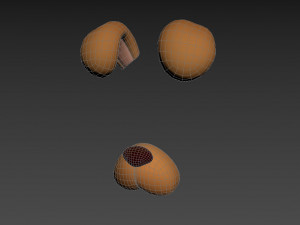 dog face 3D Модель