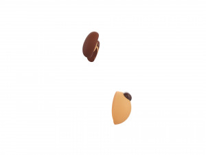 bear face 3D Model