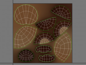 bear face 3D Model