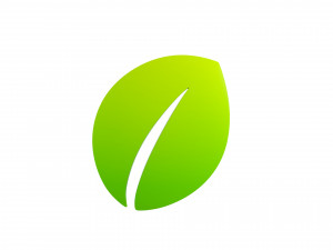 leaf symbol Model 3D