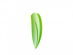 leaf symbol Model 3D