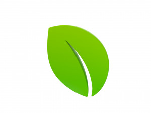leaf symbol Model 3D