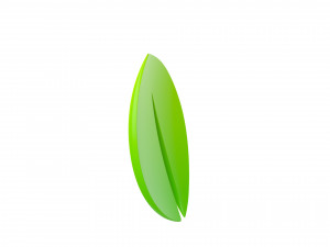leaf symbol Model 3D