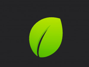 leaf symbol Model 3D