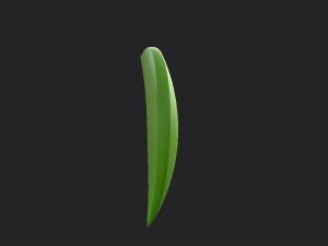 leaf symbol Model 3D