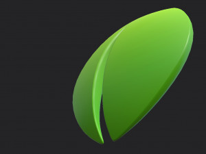 leaf symbol Model 3D