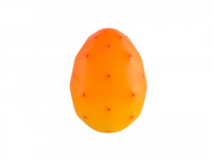 prickly pear 3D Model