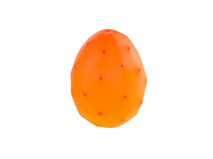 prickly pear 3D मॉडल