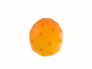 prickly pear 3D मॉडल