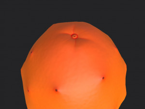 prickly pear 3D मॉडल