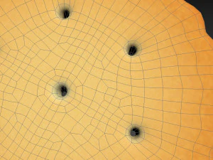 round cracker 3D Model
