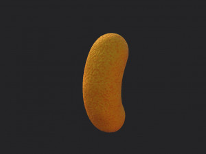 cheese puff snack 3D Model