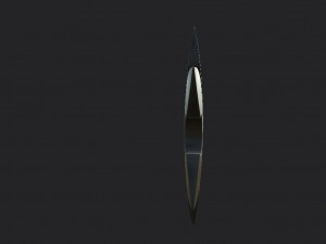 shuriken Model 3D
