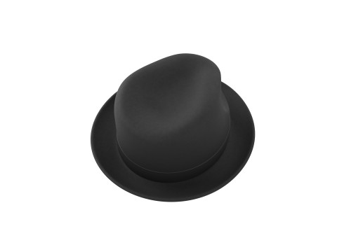 Fedora Hat 3D Model
