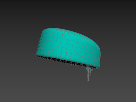 Scrub Cap Modello 3D