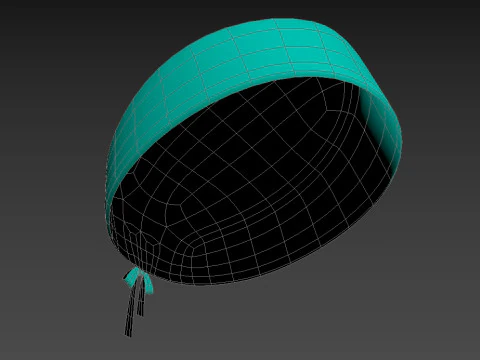 Шапочка для скрабу 3D Модель