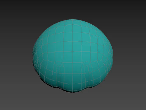 Surgical Cap 3D Model