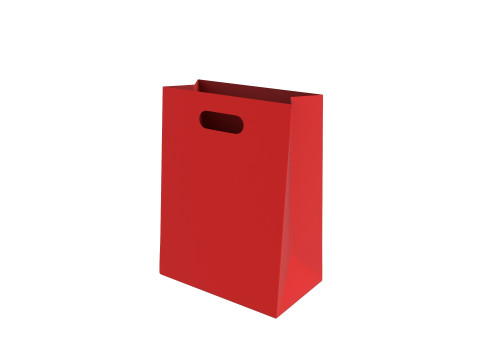 Shopping Bag 3D Model