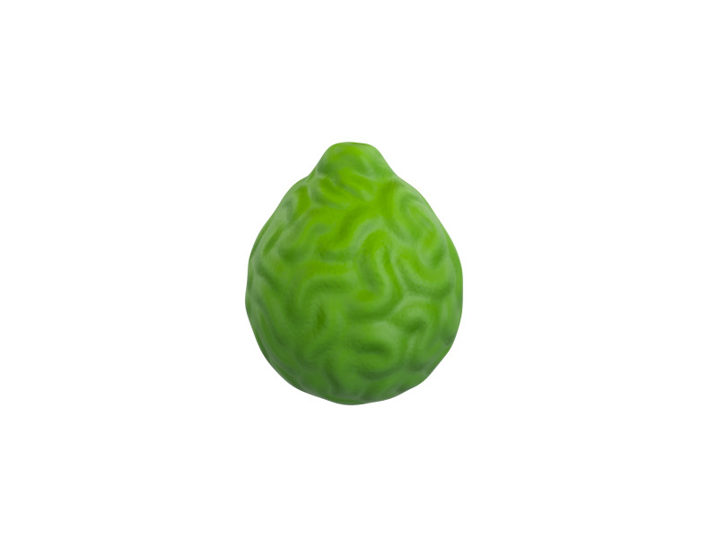 Bergamot Fruit 3D-Modell .c4d .max .obj .3ds .fbx .stl .blend