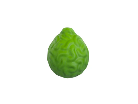 Bergamot Fruit 3D Model