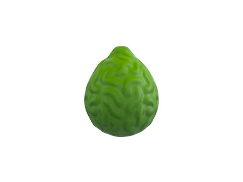 Buah Bergamot Model 3D