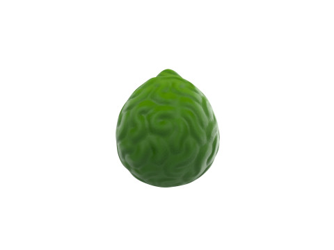 Bergamot Fruit 3D-Modell