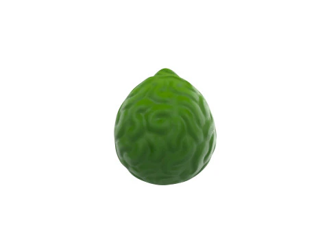 Buah Bergamot Model 3D
