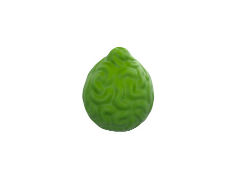 Bergamot Fruit 3D-Modell