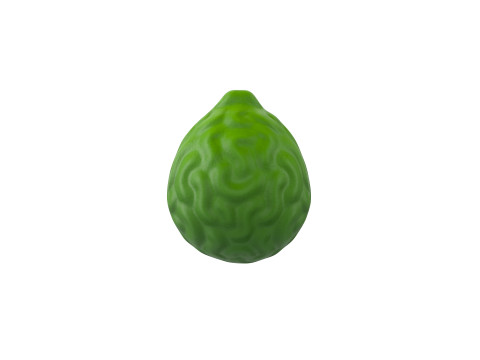Bergamot Fruit 3D-Modell