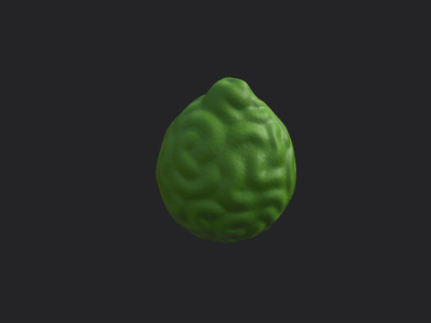 Bergamot Fruit 3D-Modell