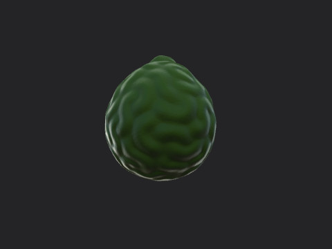 Bergamot Fruit 3D-Modell
