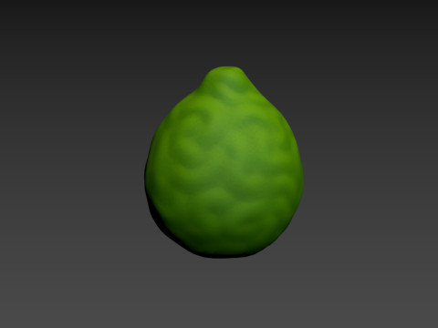 Bergamot Fruit 3D-Modell