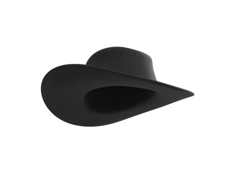 Black Cowboy Hat 3D Model