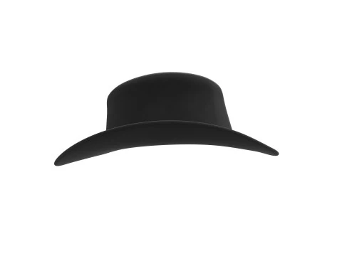 Black Cowboy Hat 3D Model