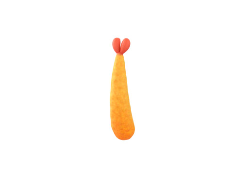 Tempura 3D Model