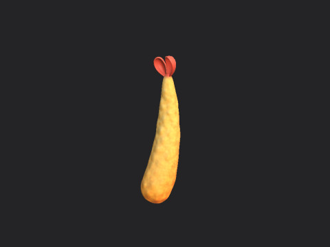 Tempura 3D Model