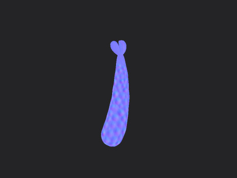 Tempura 3D Model