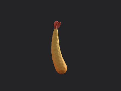 Tempura 3D Model