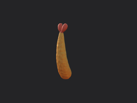 Tempura 3D Model