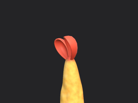 Tempura 3D Model