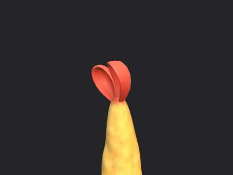 Tempura 3D Model